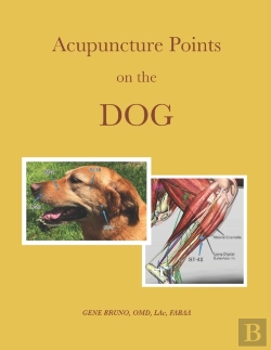 Bertrand.pt - Acupuncture Points On The Dog