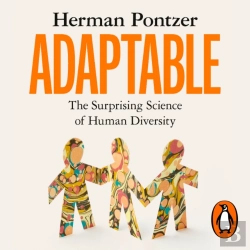 Bertrand.pt - Adaptable