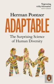 Adaptable