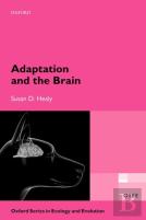 Adaptation And The Brain