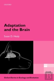 Adaptation And The Brain