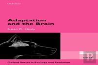Adaptation And The Brain