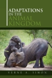 Adaptations In The Animal Kingdom