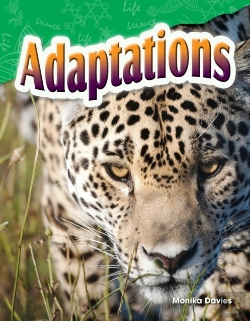 Bertrand.pt - Adaptations