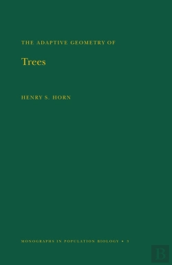 Bertrand.pt - Adaptive Geometry Of Trees