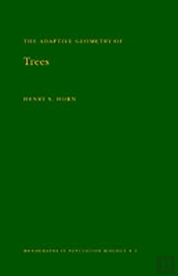 Bertrand.pt - Adaptive Geometry Of Trees