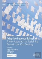 Adaptive Peacebuilding