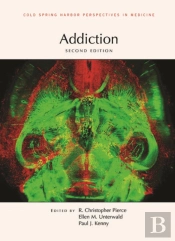 Addiction, Second Edition