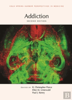 Bertrand.pt - Addiction, Second Edition