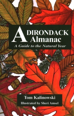 Bertrand.pt - Adirondack Almanac
