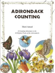 Adirondack Counting Book