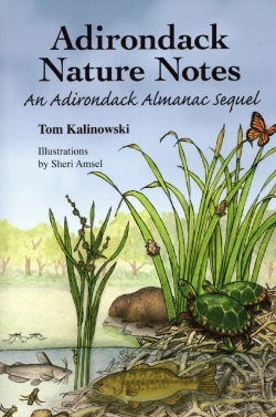 Bertrand.pt - Adirondack Nature Notes