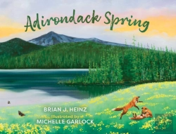Bertrand.pt - Adirondack Spring