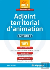 Adjoint Territorial D'Animation