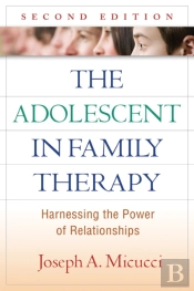 Adolescent In Family Therapy