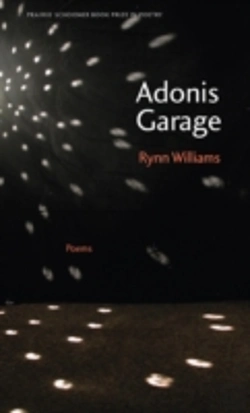 Bertrand.pt - Adonis Garage