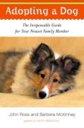 Adopting A Dog