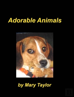 Bertrand.pt - Adorable Animals