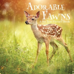 Bertrand.pt - Adorable Fawns, A No Text Picture Book
