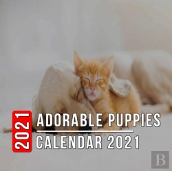 Bertrand.pt - Adorable Puppies Calendar 2021