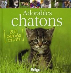 Bertrand.pt - Adorables Chatons ; 200 Bébés Chats