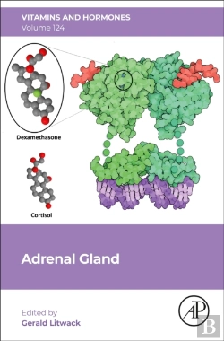 Bertrand.pt - Adrenal Gland