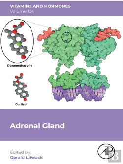 Bertrand.pt - Adrenal Gland