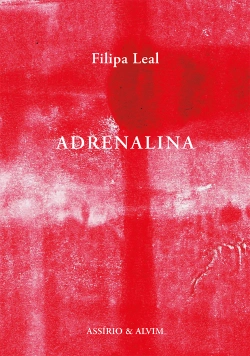 Bertrand.pt - Adrenalina