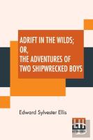 Adrift In The Wilds; Or, The Adventures Of Two Shipwrecked Boys