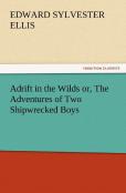 Adrift In The Wilds Or, The Adventures Of Two Shipwrecked Boys