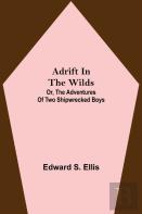 Adrift In The Wilds; Or, The Adventures Of Two Shipwrecked Boys
