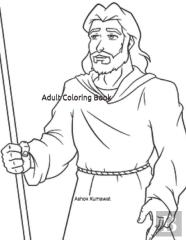 Adult Coloring Book