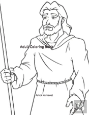 Adult Coloring Book