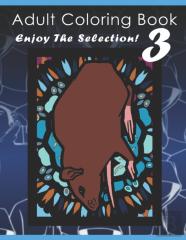 Adult Coloring Book Enjoy The Selection! 3