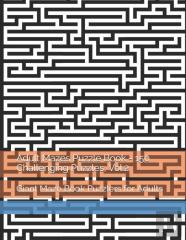 Adult Mazes Puzzle Book - 150 Challenging Puzzles, Vol.2