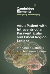 Adult Patient With Intraventricular, Paraventricular And Pineal Region Lesions