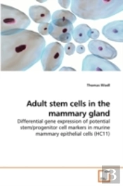 Adult Stem Cells In The Mammary Gland