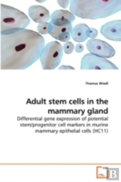Bertrand.pt - Adult Stem Cells In The Mammary Gland