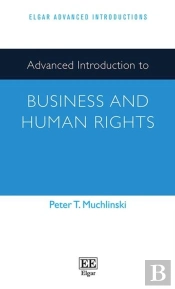 Advanced Introduction To Business And Human Rights