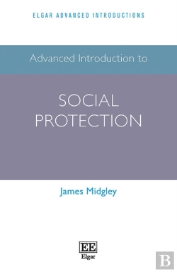 Bertrand.pt - Advanced Introduction To Social Protection