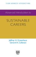 Advanced Introduction To Sustainable Careers