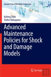 Advanced Maintenance Policies For Shock And Damage Models