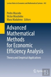 Advanced Mathematical Methods For Economic Efficiency Analysis