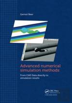 Advanced Numerical Simulation Methods