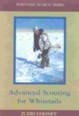 Advanced Scouting For Whitetails