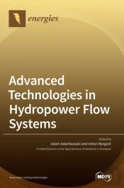 Advanced Technologies In Hydropower Flow Systems