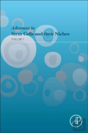 Advances In Stem Cells And Their Niches