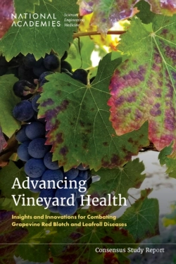 Bertrand.pt - Advancing Vineyard Health