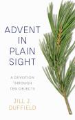 Advent In Plain Sight