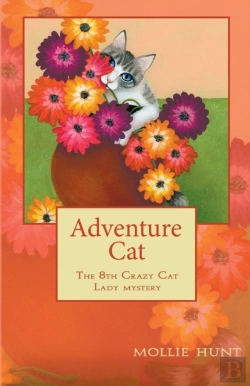 Bertrand.pt - Adventure Cat